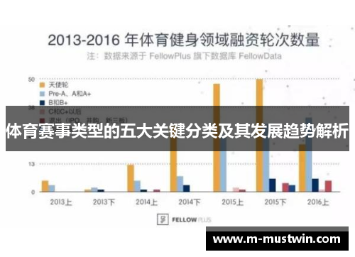 体育赛事类型的五大关键分类及其发展趋势解析