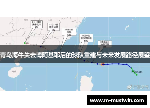 青岛海牛失去博阿基耶后的球队重建与未来发展路径展望