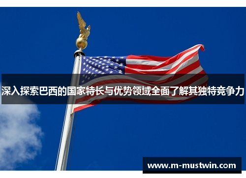 深入探索巴西的国家特长与优势领域全面了解其独特竞争力